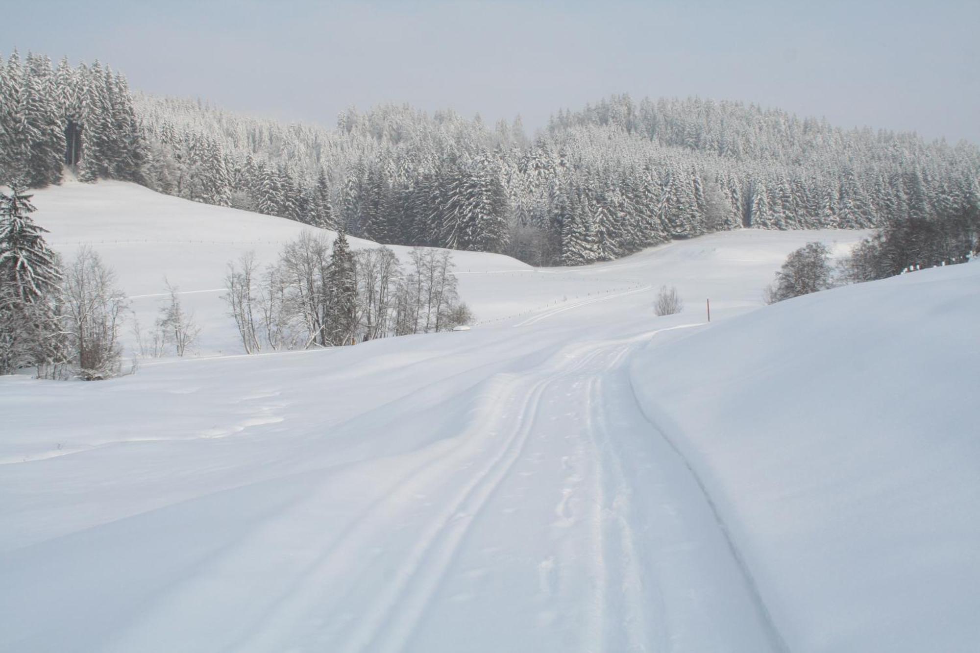 Appartement Allgaeu